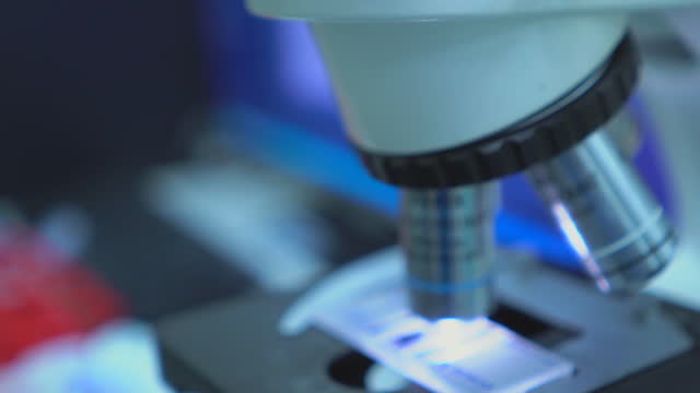 In vitro fertilisation (IVF) process under microscope.