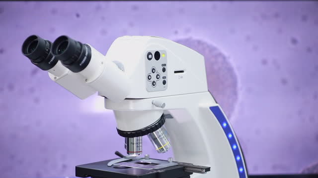 In vitro fertilisation (IVF) process under microscope.