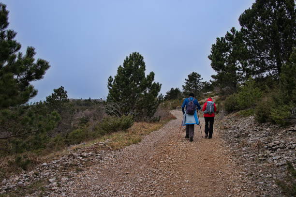 istock Senior couple hiking 1496018251