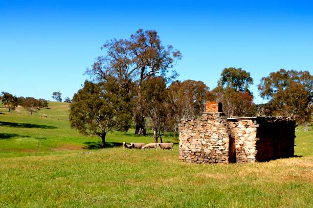 istock Australian Rural Pasture Landscape 1496020661