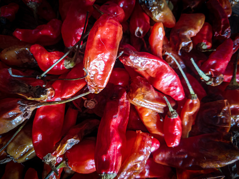 withered and dry red chilies