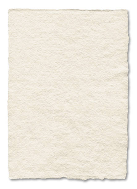 istock Natural art paper texture. Parchment background isolated on white 1496024894