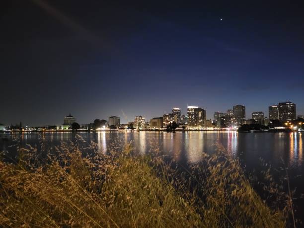istock Night in the city 1496027179