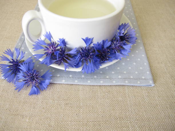 Herbal tea with petals from the blue cornflower flower stock photo