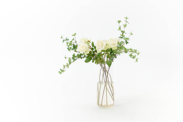 istock Still life. Minimalist glass vase with white roses on white background 1496031303
