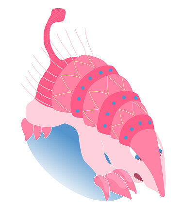 Pink Fairy Armadillo. Chlamyphorus truncatus. Flat vector Isolated. Unique Animals. This illustration is perfect for postcards, invitation cards and stickers
