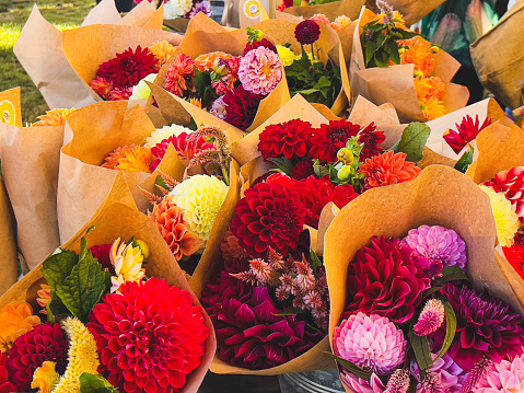 Horizontal high angle closeup photo of a bouquet of freshly picked colourful Dahlia and Amaranth flowers and leaves wrapped in brown paper on a stall at the weekly Farmer’s Market, Byron Bay, NSW