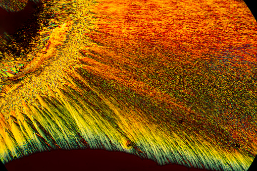 Abstract patterns, like a toucan, made of bright primary colors in a sheet of arginine crystals, an amino acid, made with a polarizing microscope at 100x .