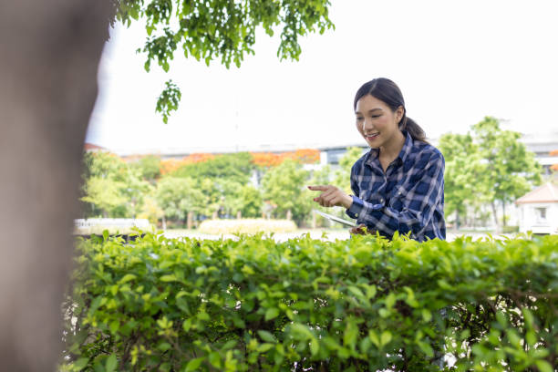 istock Asian woman checking their tablet while taking care of plants and nature around them 1496034065