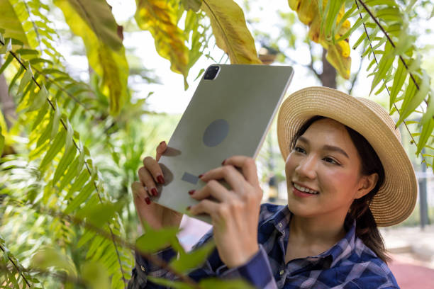 istock Asian woman checking their tablet while taking care of plants and nature around them 1496034085