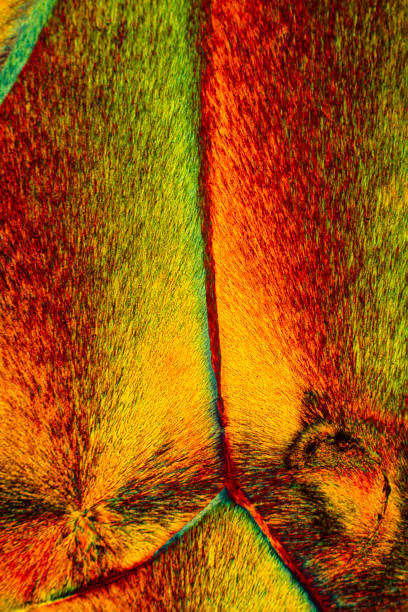 アミノ酸アルギニンのカラフルな結晶の抽象的な顕微鏡写真。 - arginine ストックフォトと画像