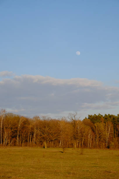 istock Cloudy evening sky over a beautiful autumn forest. Landscape. 1496036249