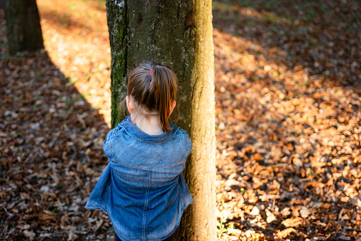Rear view of small girl standing next to tree and playing hide and seek in autumn park