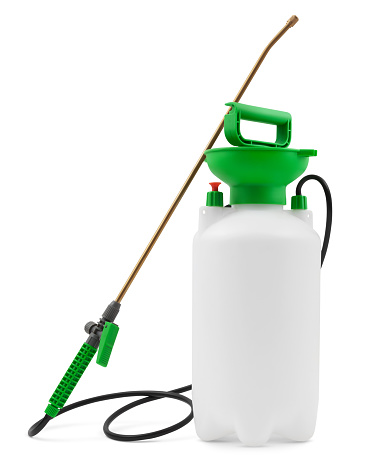Gallon portable garden pump pressure sprayer, pressurized lawn and garden water spray bottle for spraying plants. Gardening work and household cleaning. Isolated on white background with clipping path