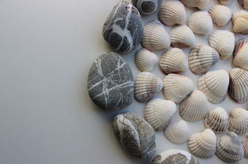 Part of circle pattern of sea shells and smooth pebbles on white surface at a  saide if image
