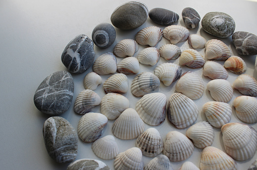 Concept for decoration. Gray sea pebbles with quartz veins around a circle lined with shells isolated on white