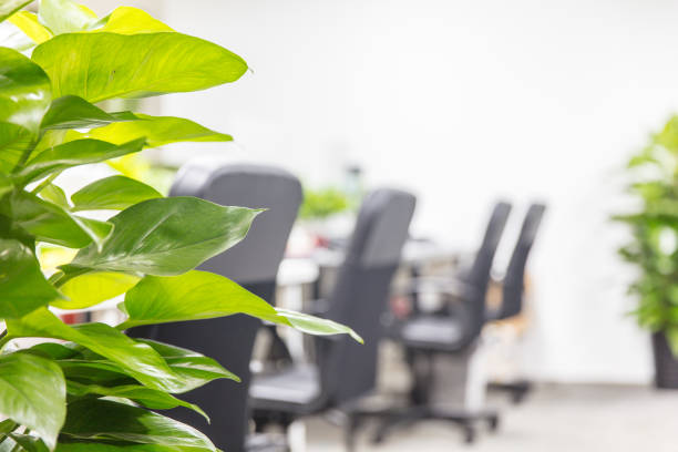 istock Armchair and green plants in modern style office interior 1496045142