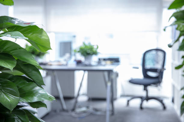 istock Armchair and green plants in modern style office interior 1496045206