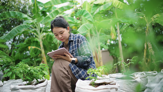 A young woman using a digital tablet while inspecting crops on a farm. Doing what's best for the quality growth of her produce.