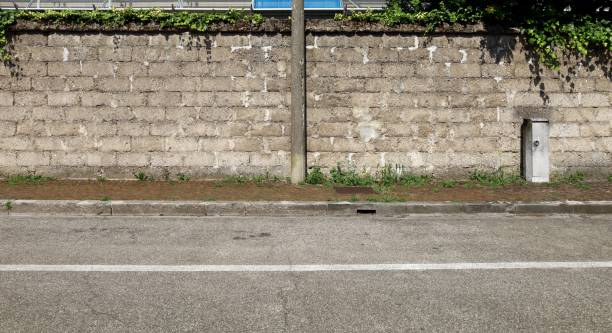 istock Grunge cinder block wall,  cement pole on sidewalk covered with weeds and urban road in front. 1496059000