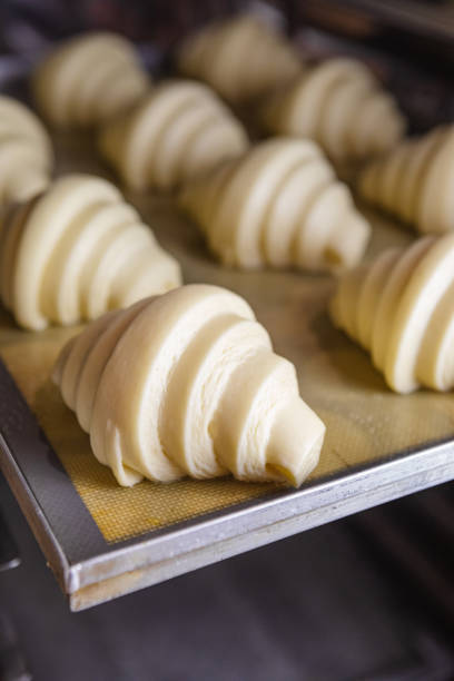 istock Pre-baked proofed croissant dough 1496059205