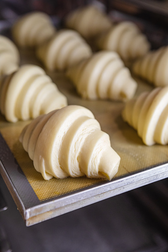 Sheet of proofed croissant dough baking