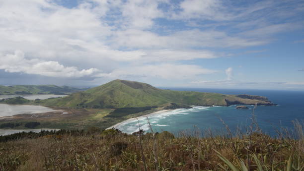 istock Allans Beach, Otago Peninsula  New Zealand 1496067521