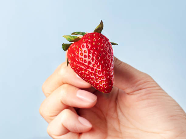 istock ripe strawberry in hand blue background 1496077194