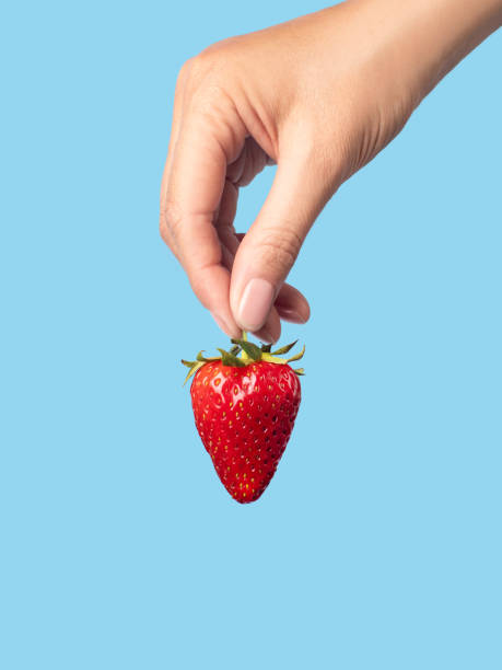 ripe strawberry in hand blue background vertical