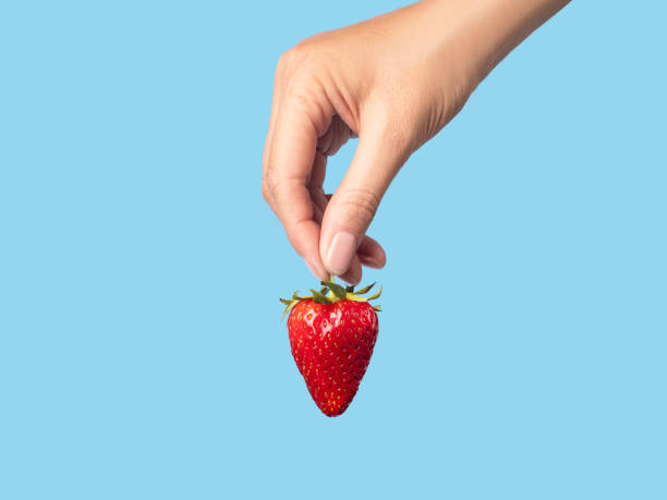 istock ripe strawberry in hand blue background 1496077205