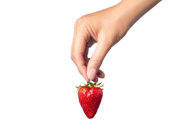 istock ripe strawberry in hand white background 1496077221