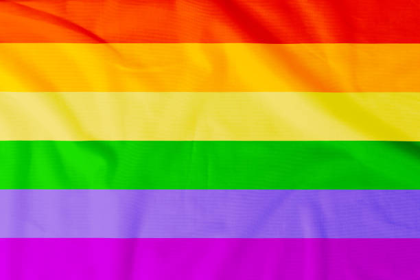 istock LGBT flag with natural material creases for background 1496079119