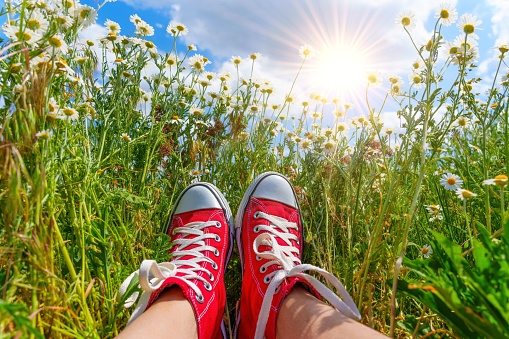 A pair of feet, clad in vibrant red canvas sneakers, find solace amidst a colorful field of daisies with a backdrop of the serene blue sky on a sunny day.