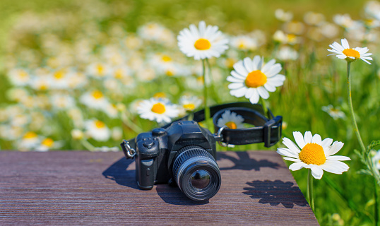 Miniature toy camera placed of a wooden table against a blooming daisies backdrop. Seeing world through the lens of the own creativity.