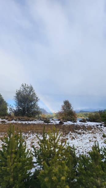 rainbow in southern patagonian landscape with plants in front and lake with mountains behind stock photo