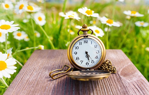 Open vintage pocket watch placed on a rustic wooden table, beautifully set against the backdrop of a blooming daisy field. Time management and productivity related background.
