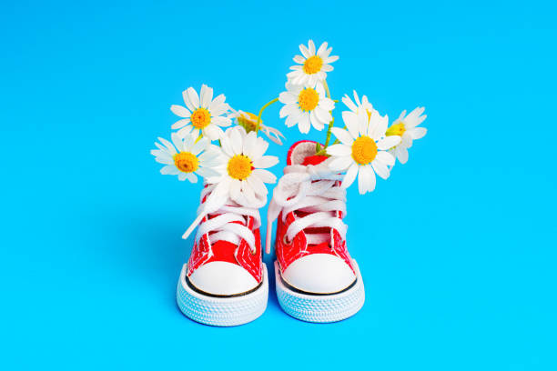 istock Red Canvas Shoes and Fresh Daisies on Blue 1496080875