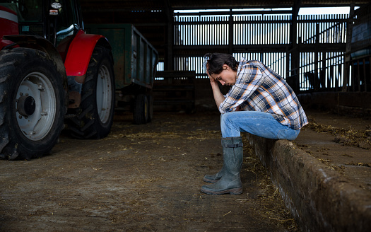 A young farmer sitting with his head in his hands in a barn at the sustainable farm he works at in Embleton, North East England. He is worried about the stress of his job and business.