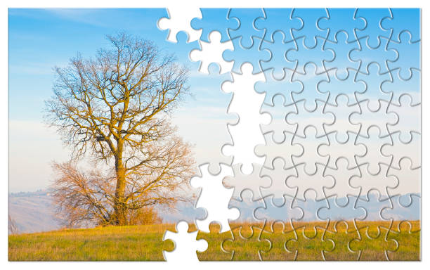 istock Lone tree in a agricultural field - environmental conservation concept in jigsaw puzzle shape 1496083497