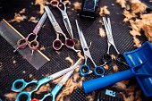 werkzeuge-des-hundefriseurmeisters-arbei