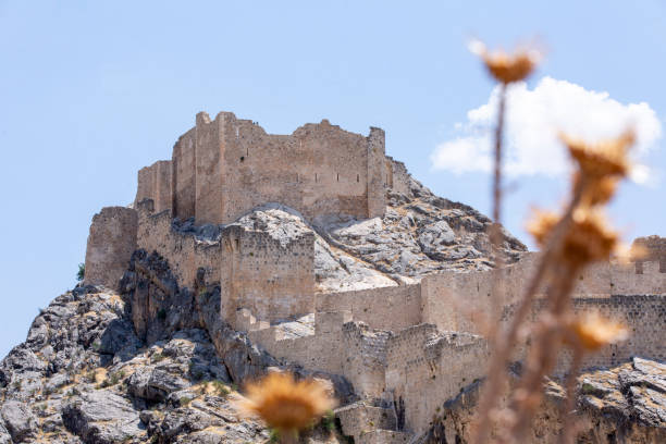 istock Aerial view of Kahta Castle. 1496089837
