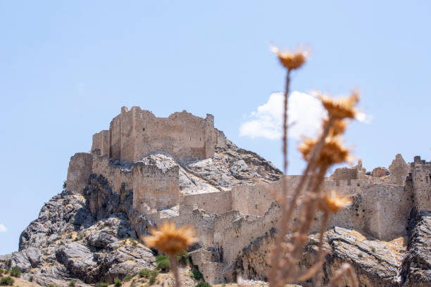 istock Aerial view of Kahta Castle. 1496089842