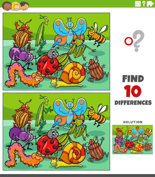 illustrations, cliparts, dessins animés et icônes de différences jeu avec personnages d’insectes de dessins animés groupe - ladybug insect leaf beetle