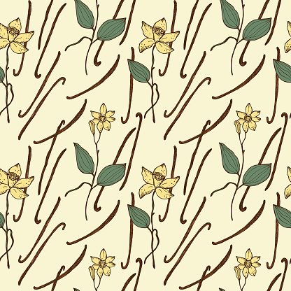 Vanilla Seamless repeating pattern with fragrant spice bouquet of vanilla plant. Illustration of a floral background. Hand drawn. Design element for textile, label backdrop for food, cosmetics.Vector illustration