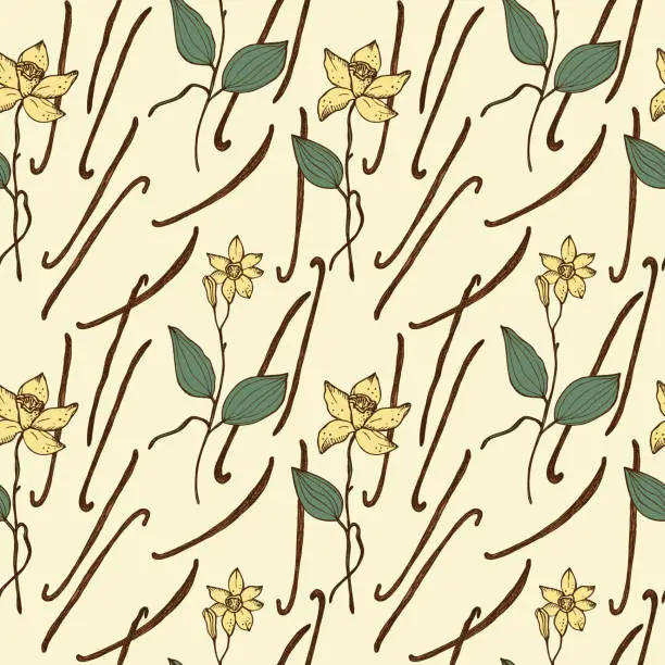Vector illustration of Vanilla Seamless repeating pattern with fragrant spice bouquet of vanilla plant. Illustration of a floral background. Hand drawn. Design element for textile, label backdrop for food, cosmetics.Vector