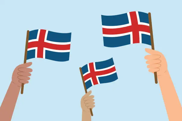 Vector illustration of Diverse people hands raising and waving flags of Iceland. Vector illustration of Icelandic flags.