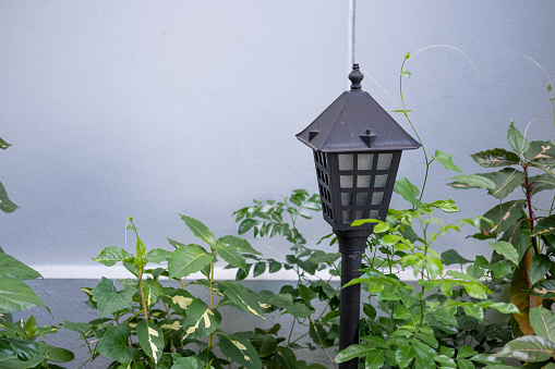 Low level pole light in the backyard garden