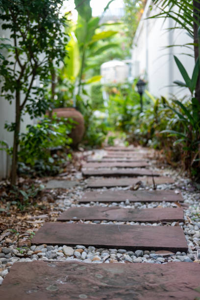 istock Stone path in the backyard garden with trees along the sides 1496100548