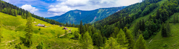 istock Alpine pasture in Salzburger Land in summer 1496100786