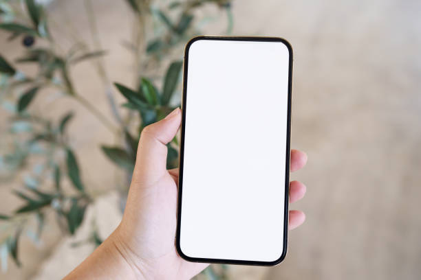 istock Women's hands holding cell telephone blank copy space screen. smartphone with blank white screen isolated. smart phone with technology concept. 1496102274